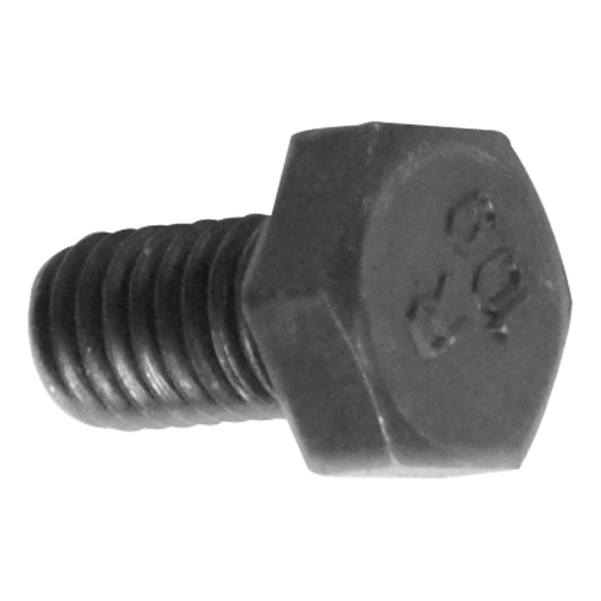 Tornillo Hexagonal 6m*10 E14030014
