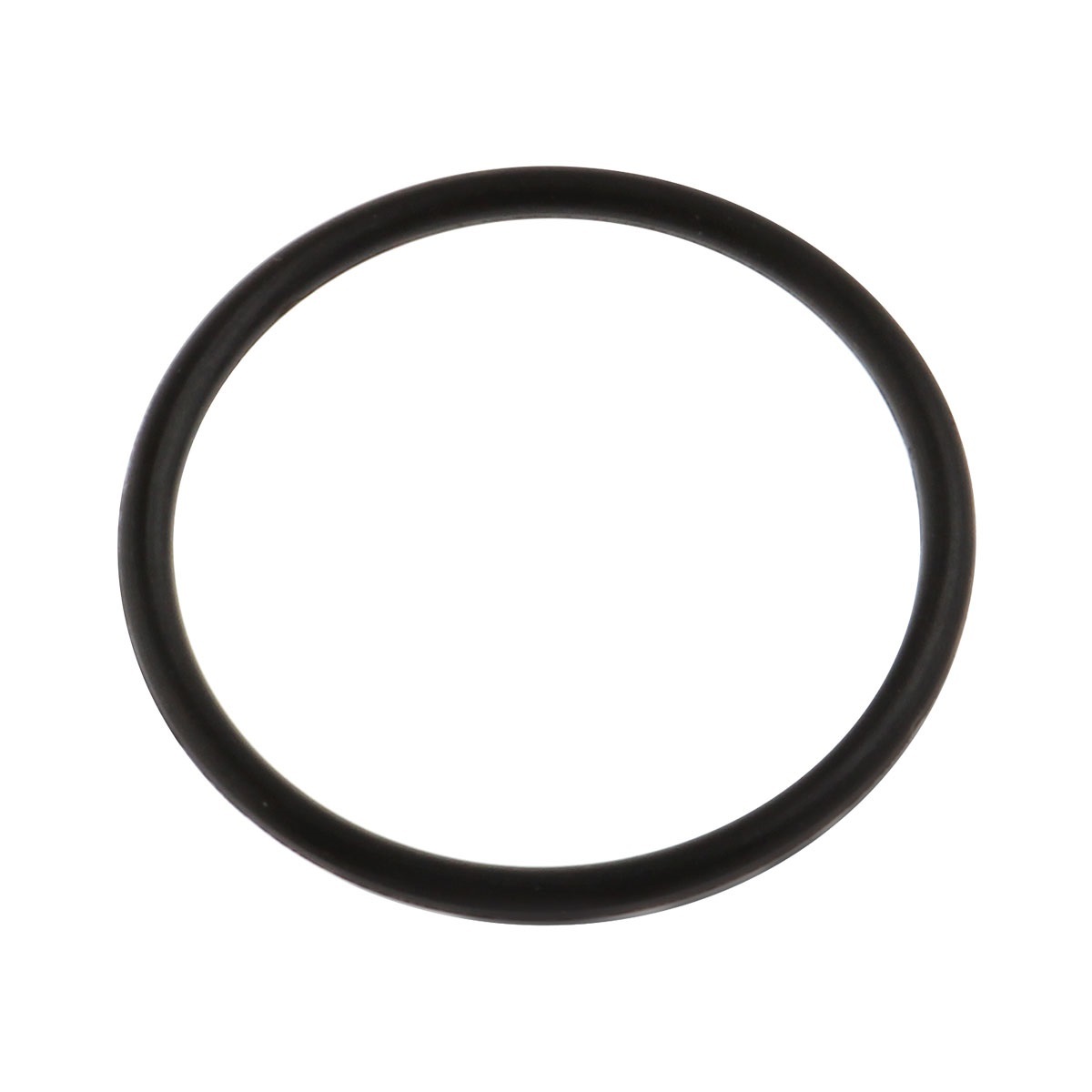 O-ring D=21 D=1.6 E14040005