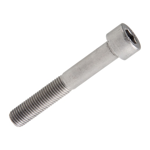 TORNILLO M10X65