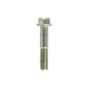 TORNILLO M10X55
