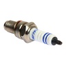BUJIA GOLD GDR8EA