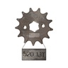 RUEDA DENTADA 13T
