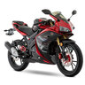 RT250 ROJO GPS