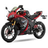 RT250 ROJO GPS