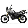 MORBIDELLI T250X